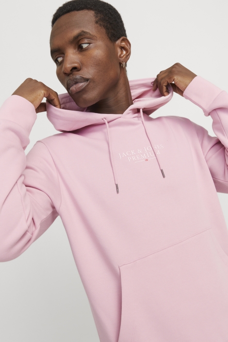 Jack & Jones jprbluarchie sweat hood noos